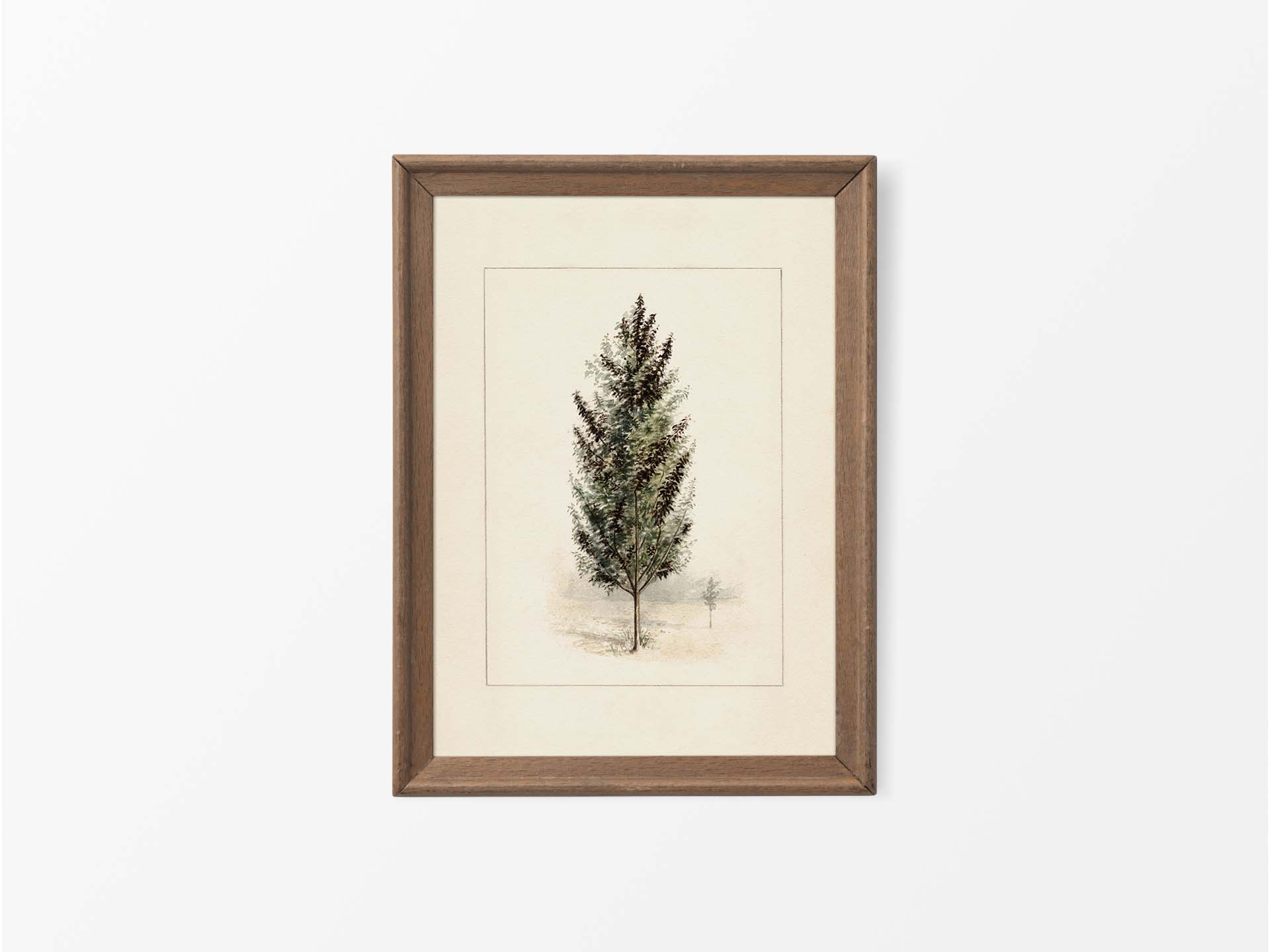 Pear Tree Vintage Art Print