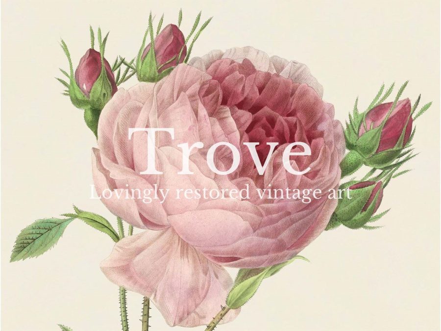 Pink Roses III Vintage Art Print