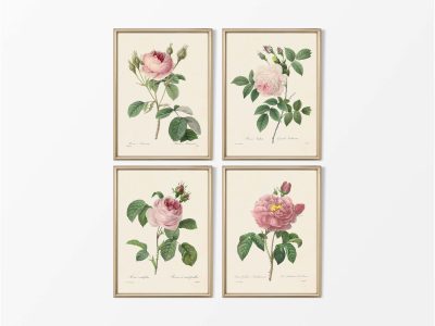 Pink Roses (Set of Four) Vintage Art Prints