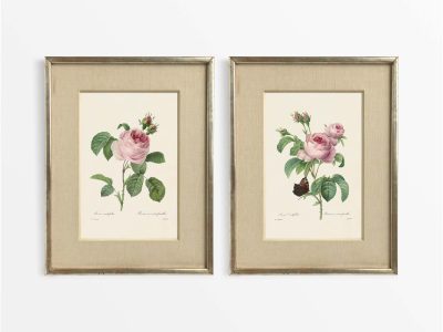Pink Roses (Set of Two) Vintage Art Prints