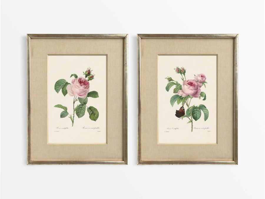 Pink Roses (Set of Two) Vintage Art Prints
