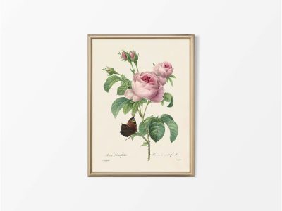 Pink Roses V Vintage Art Print