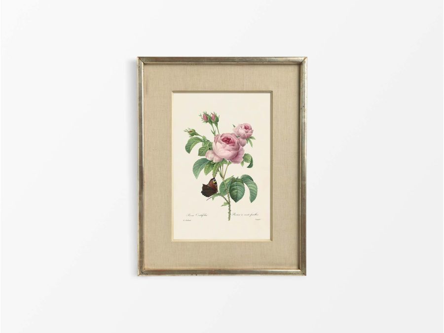 Pink Roses V Vintage Art Print