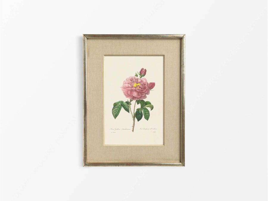 Pink Roses VII Vintage Art Print