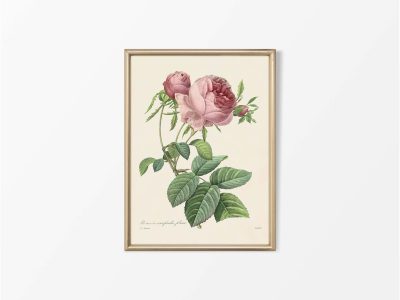 Pink Roses X Vintage Art Print