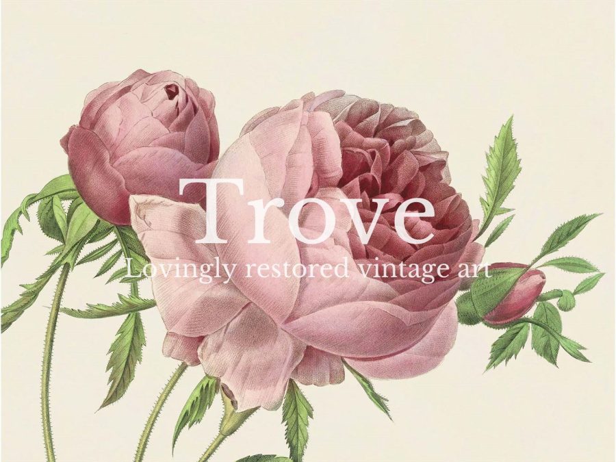 Pink Roses X Vintage Art Print