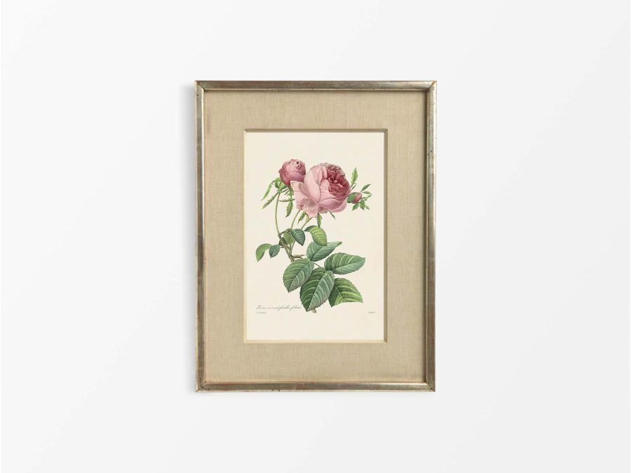 Pink Roses X Vintage Art Print