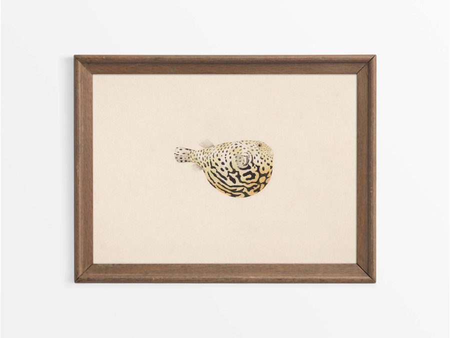 Pufferfish II Vintage Art Print