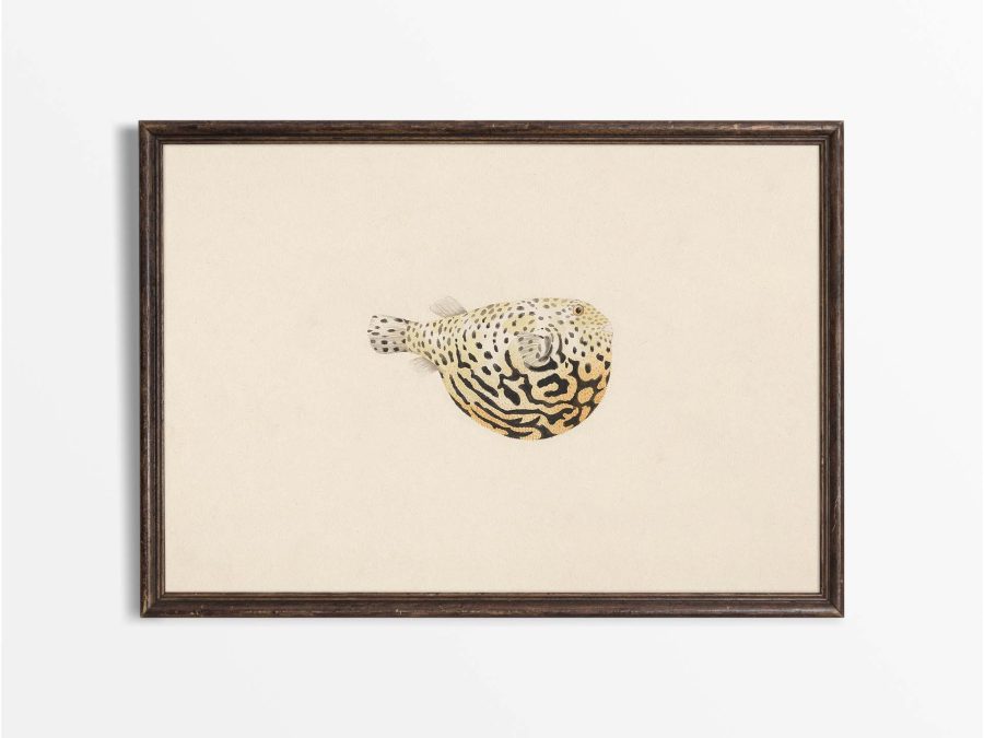 Pufferfish II Vintage Art Print