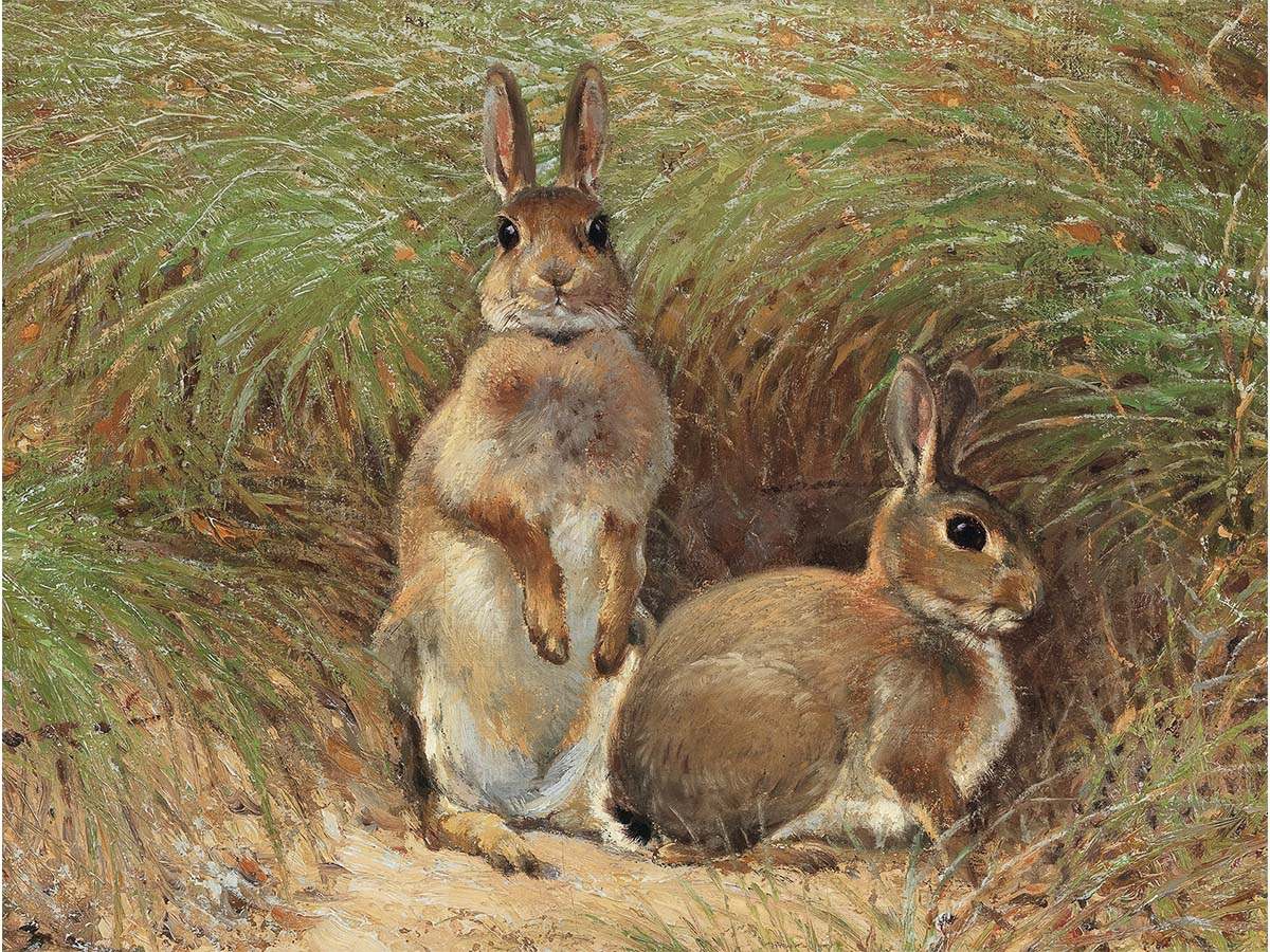 Rabbits Vintage Art Print