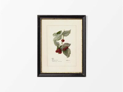 Raspberries Vintage Art Print