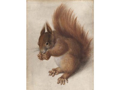 Red Squirrel Vintage Art Print