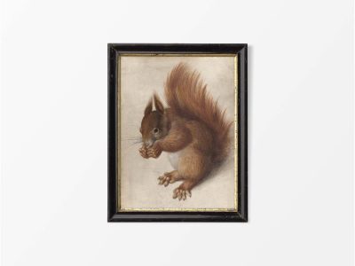 Red Squirrel Vintage Art Print