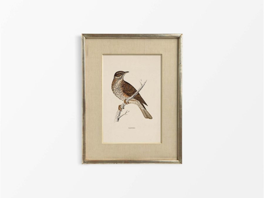 Redwing Vintage Art Print