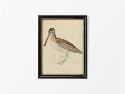 Snipe Vintage Art Print