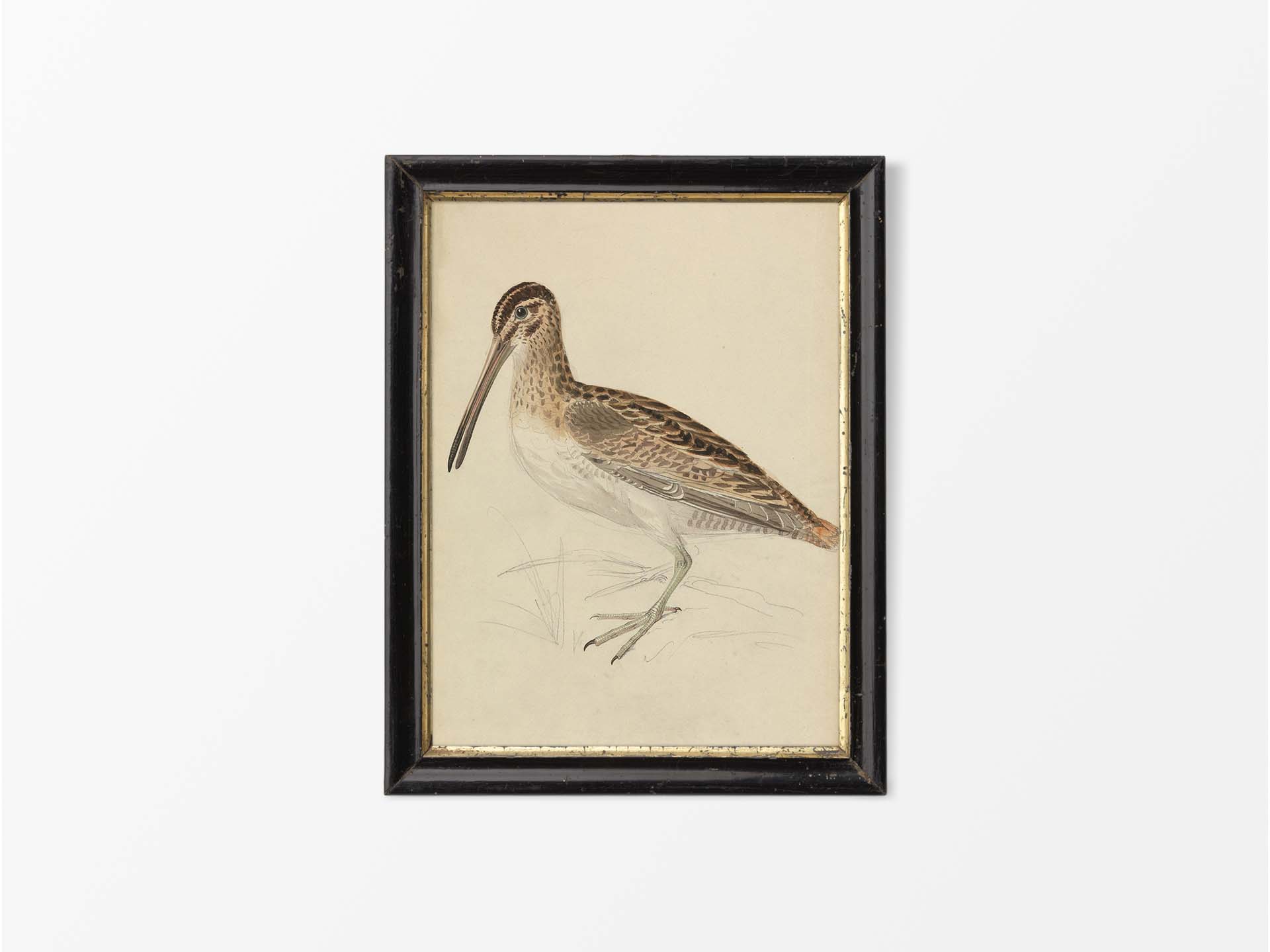 Snipe Vintage Art Print