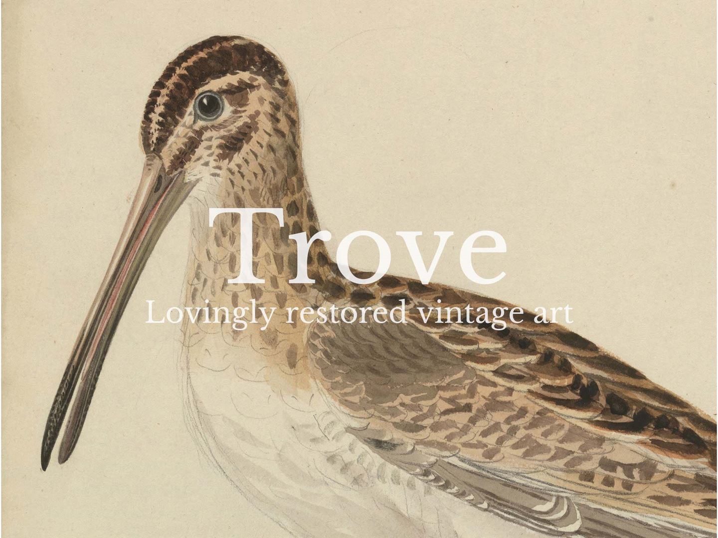 Snipe Vintage Art Print