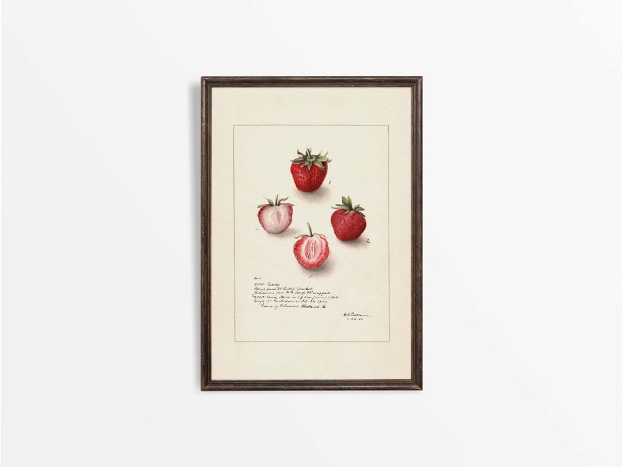 Strawberries Vintage Art Print