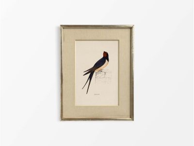 Swallow Vintage Art Print