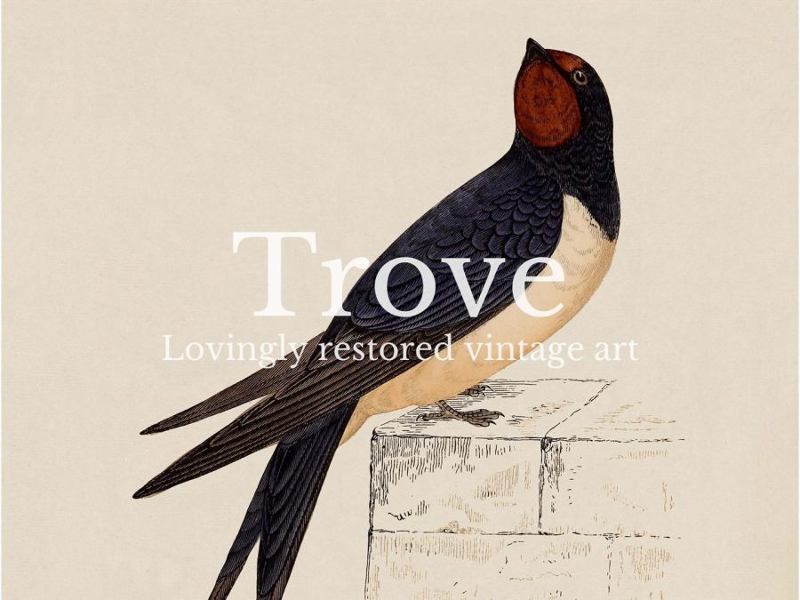 Swallow Vintage Art Print