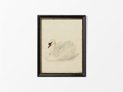 Swan II Vintage Art Print