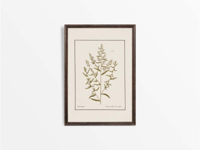 Tarragon Vintage Art Print