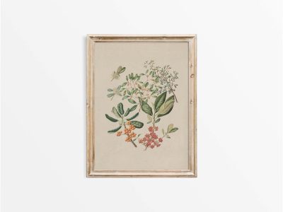 Taupata Vintage Art Print