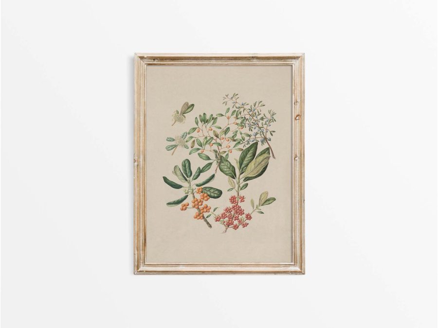 Taupata Vintage Art Print