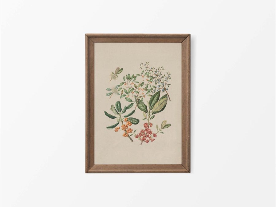 Taupata Vintage Art Print