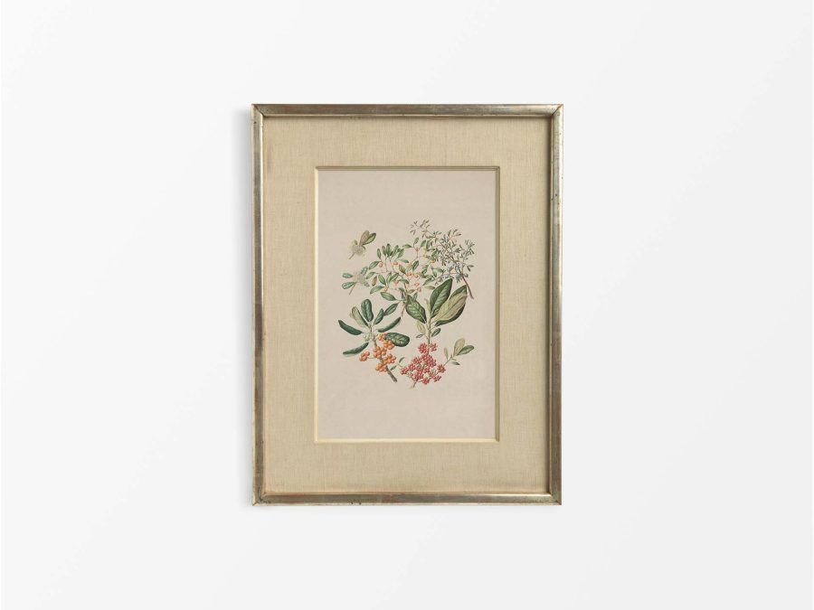 Taupata Vintage Art Print
