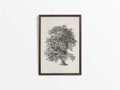 Tree Sketch III Vintage Art Print