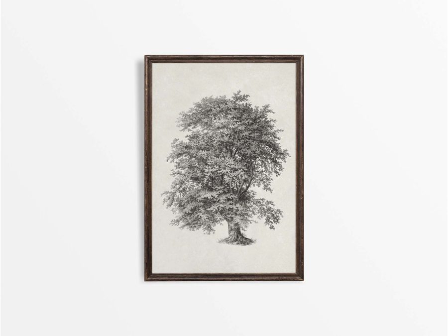 Tree Sketch III Vintage Art Print