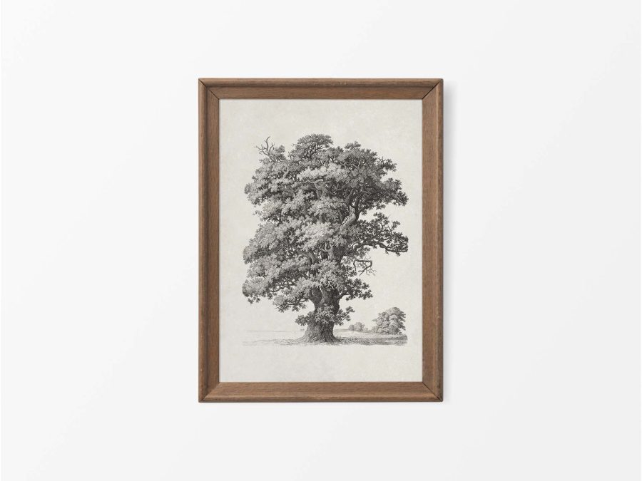 Tree Sketch IV Vintage Art Print
