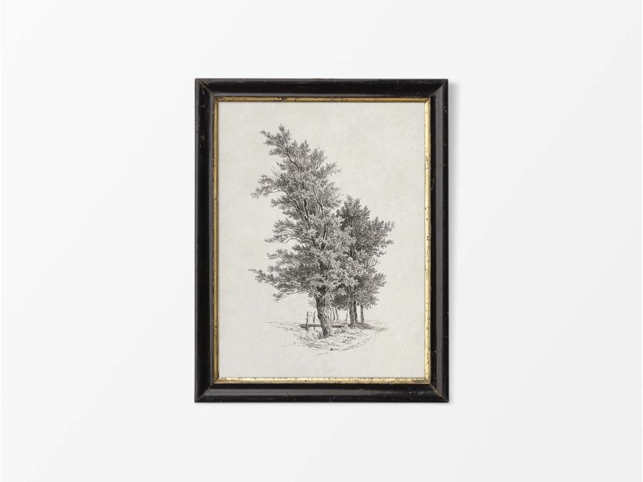 Tree Sketch Vintage Art Print