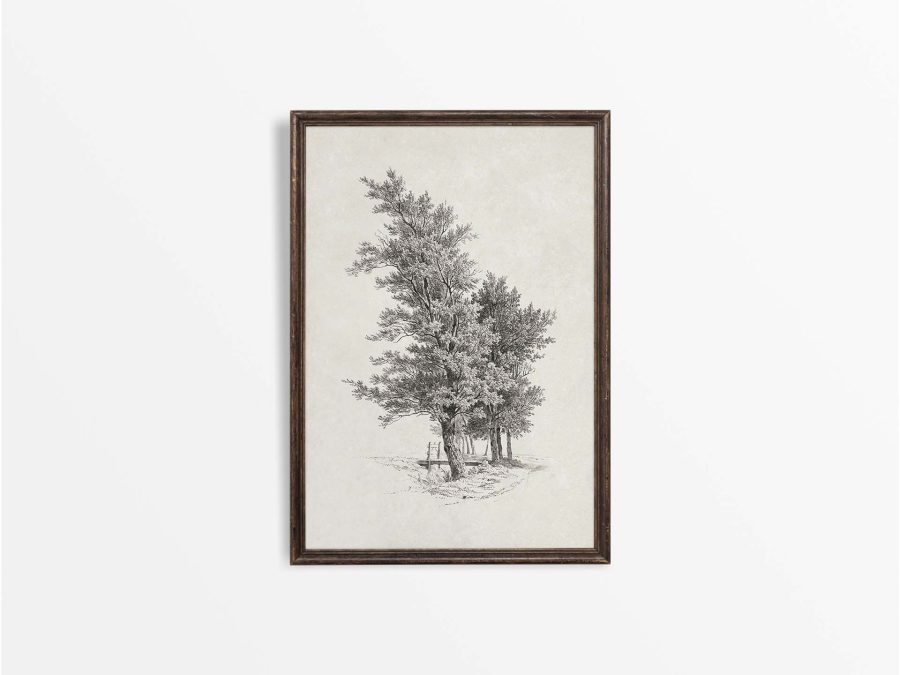 Tree Sketch Vintage Art Print