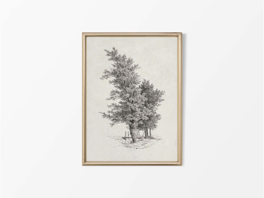 Tree Sketch Vintage Art Print