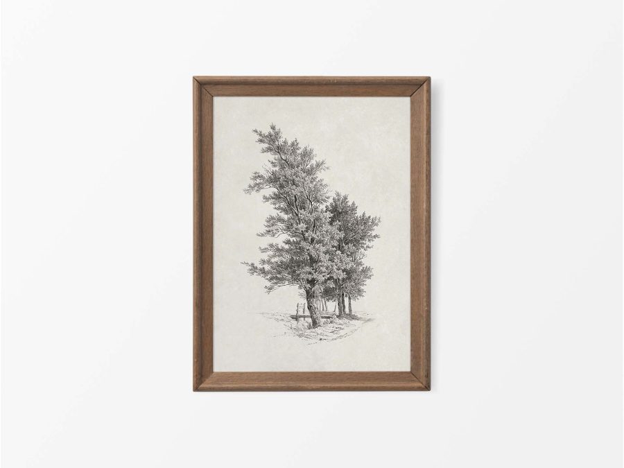 Tree Sketch Vintage Art Print