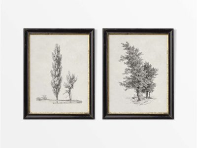 Tree Sketches III (Set of Two) Vintage Art Prints