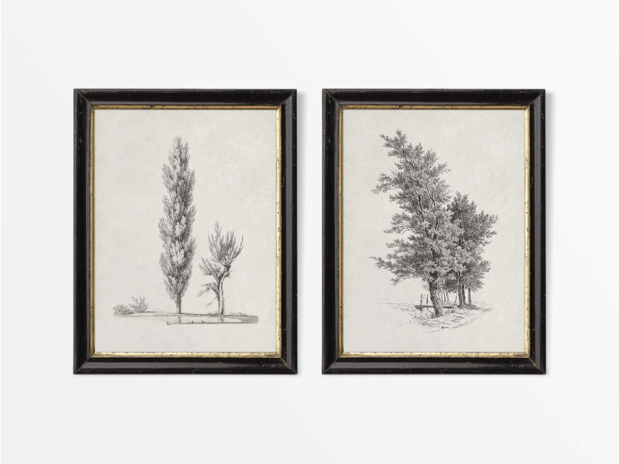 Tree Sketches III (Set of Two) Vintage Art Prints