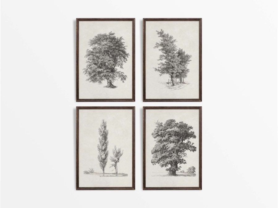 Tree Sketches (Set of Four) Vintage Art Prints