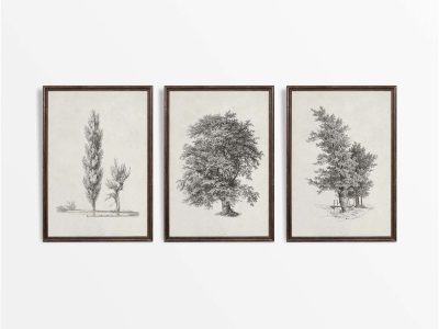 Tree Sketches (Set of Three) Vintage Art Prints