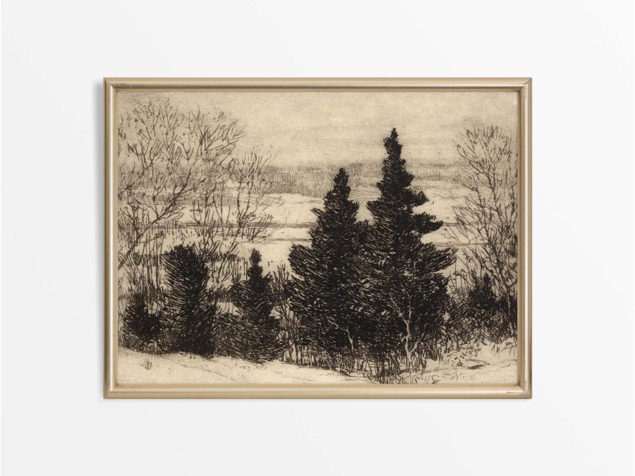 Trees in Winter II Vintage Art Print