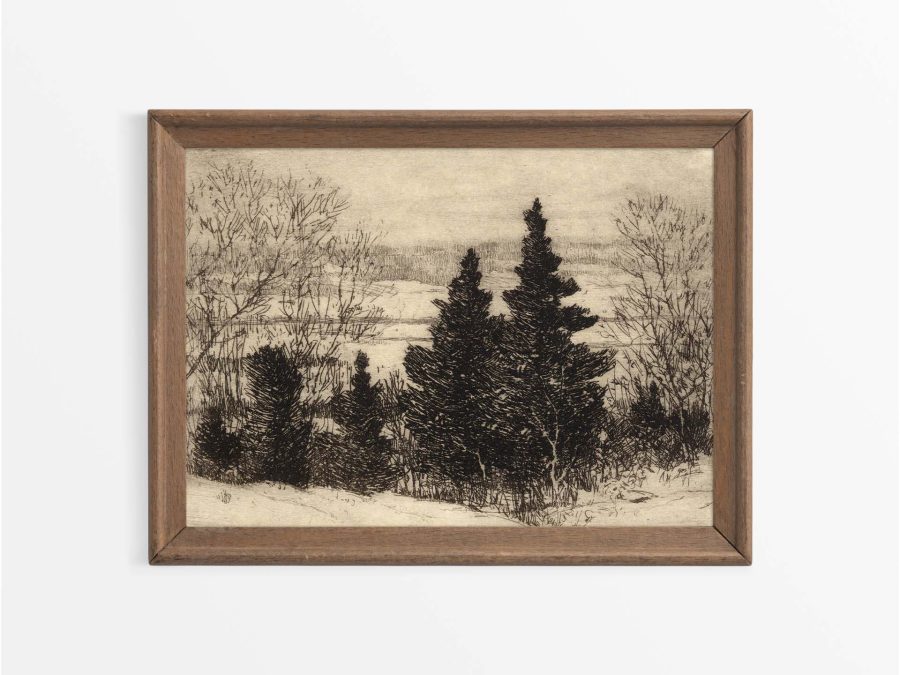 Trees in Winter II Vintage Art Print