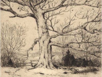 Trees in Winter Vintage Art Print