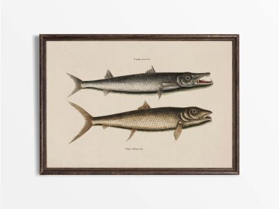 Tropical Fish I Vintage Art Print
