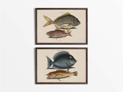Tropical Fish II (Set of Two) Vintage Art Prints