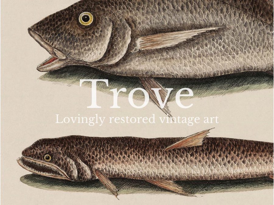 Tropical Fish II Vintage Art Print