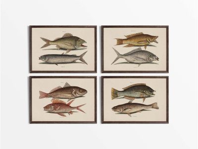 Tropical Fish (Set of Four) Vintage Art Prints