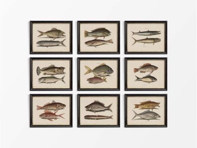 Tropical Fish (Set of Nine) Vintage Art Prints