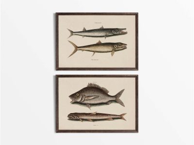 Tropical Fish (Set of Two) Vintage Art Prints